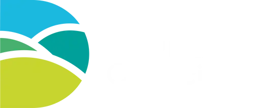 Dorset Music Service Logo